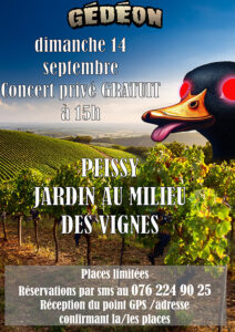 A PEISSY AU MILIEU DES VIGNES