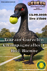 Terrain Gurzelen (Bienne)